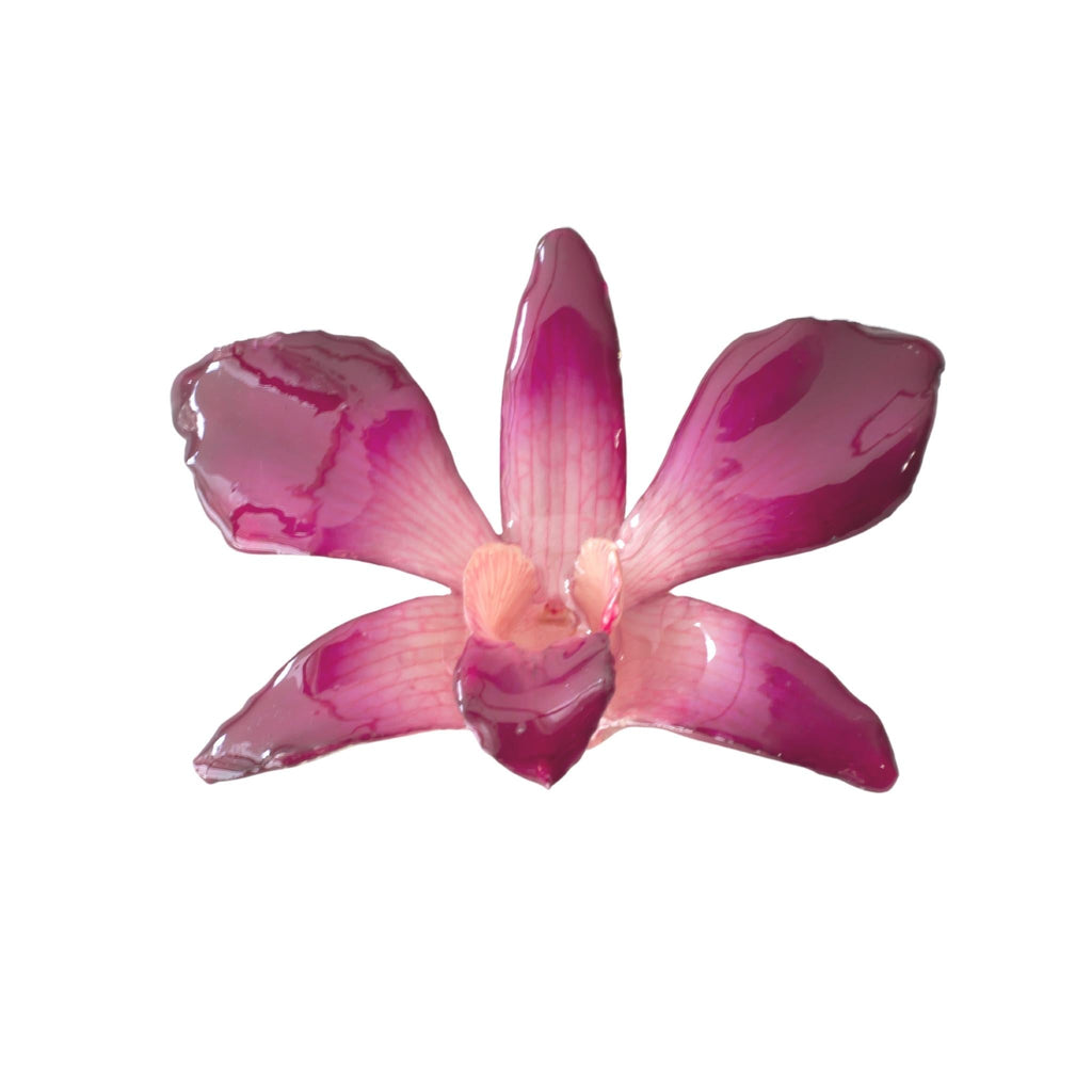Real Orchid Hair Clip - Dendrobium Sonia Magenta Pink - Devi & Co