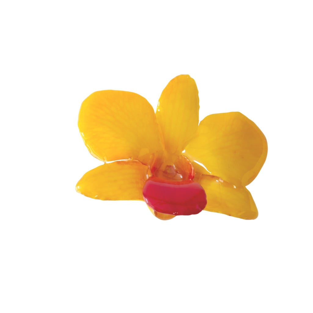 Real Orchid Hair Clip - Yellow - Devi & Co