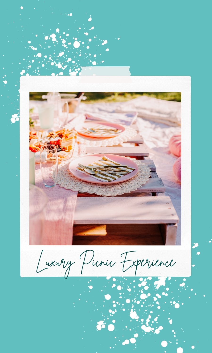 What To Do In Atlanta In August Part 2: Luxury Picnic Experience - Devi & Co