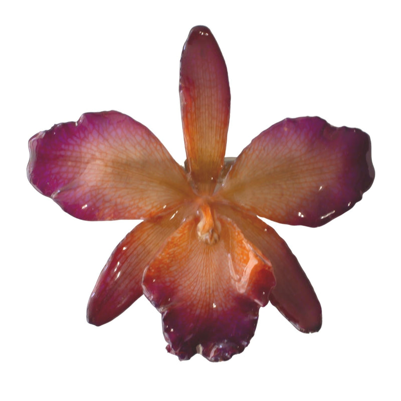 “Anggrek” Large Orchid Hair Piece - Cranberry - Devi & Co