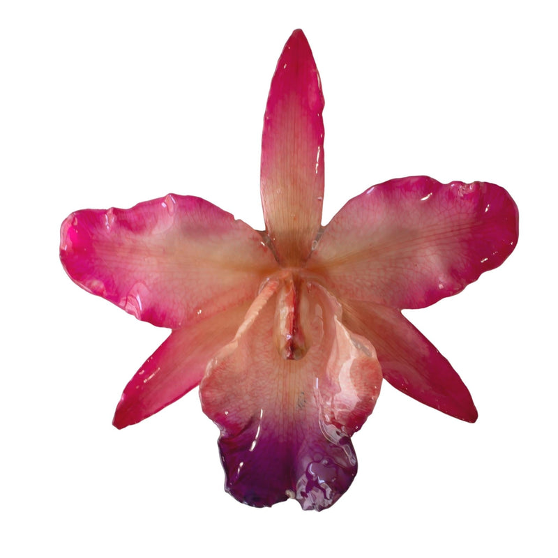 "Anggrek” Large Orchid Hair Piece - Pink - Devi & Co