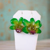 Bunga Flower Drop Earrings - Dendrobium - Devi & Co