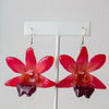 "Fleur" Real Orchid Earrings - Red - Limited Edition - Devi & Co