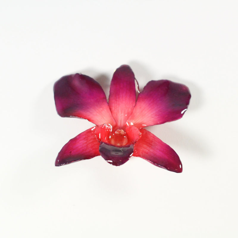 Real Orchid Brooch - Devi & Co