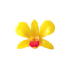 Real Orchid Hair Clip - Yellow - Devi & Co