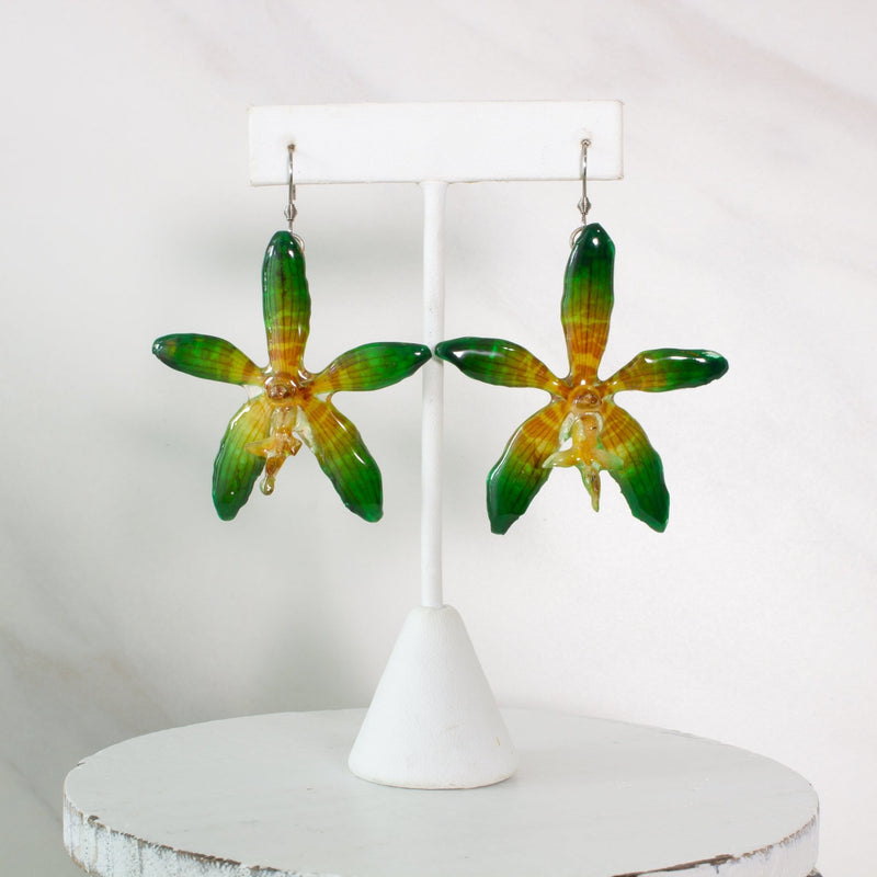 "Tigre" Real Orchid Earrings - Green/Yellow - Limited Edition - Devi & Co
