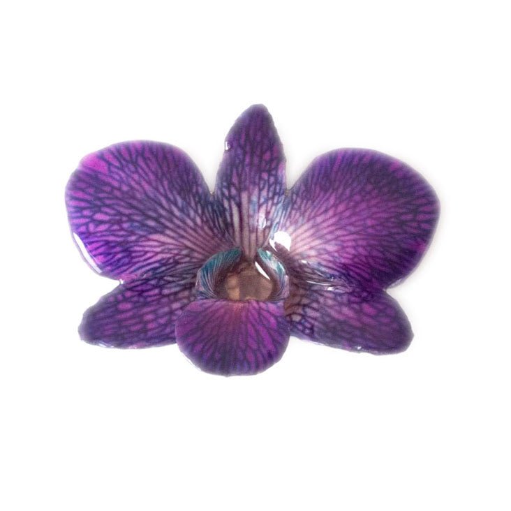 Valentines Day Gift With Purchase - Real Orchid Hair Clip for Unique Style - Devi & Co